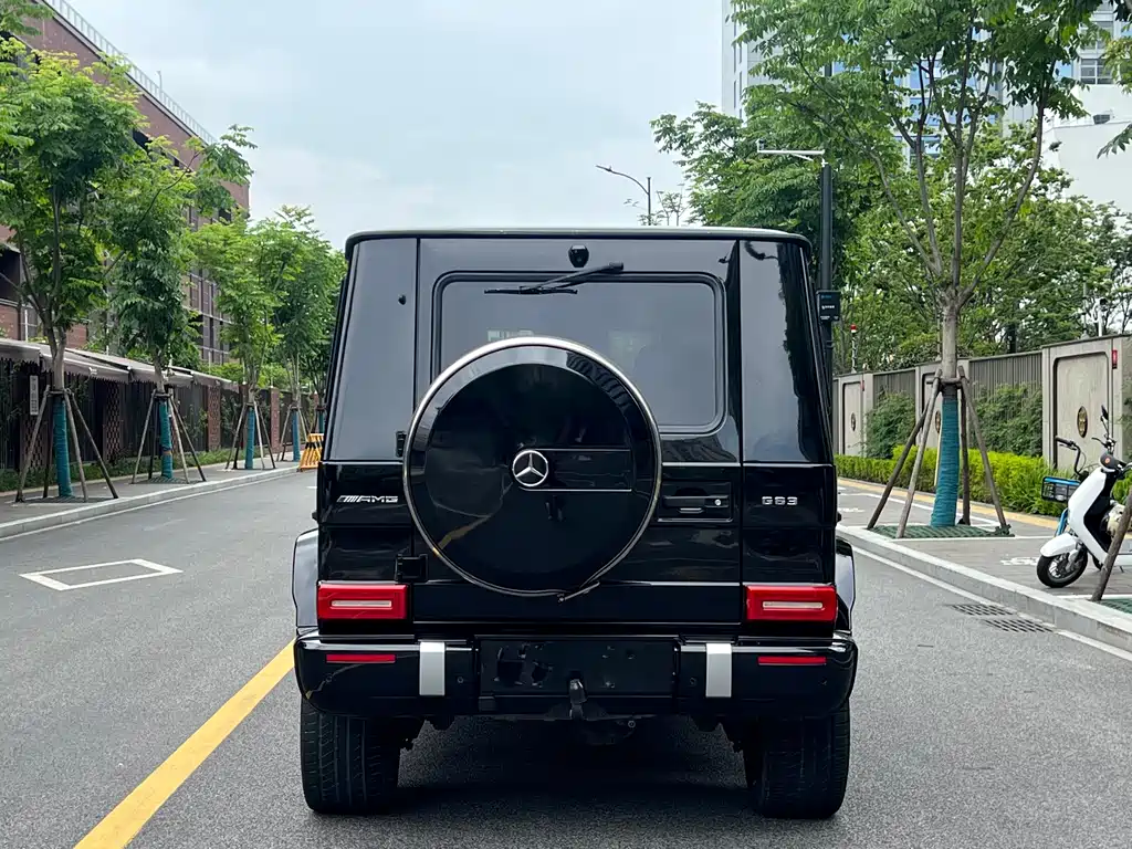Mercedes-Benz G-Class A MG G AMG 2009 AMG G 55