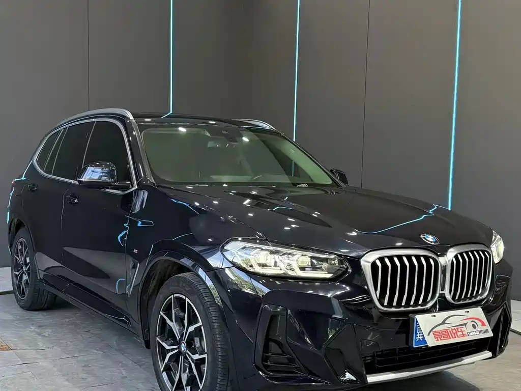 BMW X3 — миниатюра 3