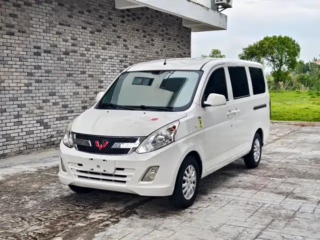WULING AUTOMOBILE WULING RONGGUANG V 2019