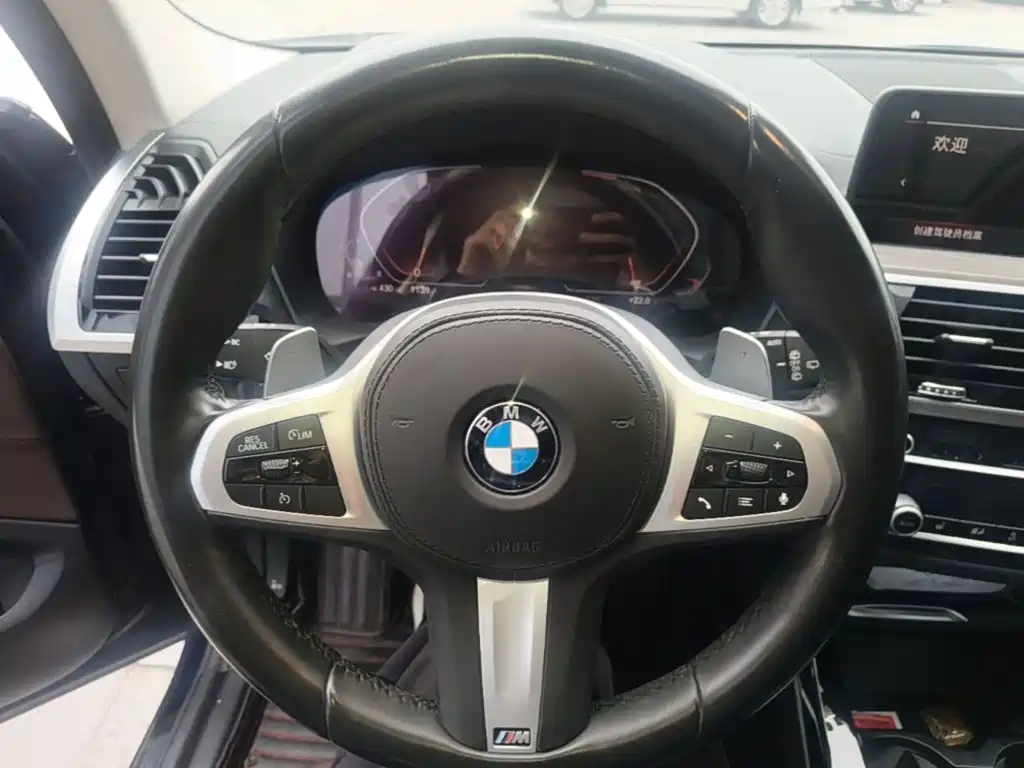 BMW X3 — миниатюра 11