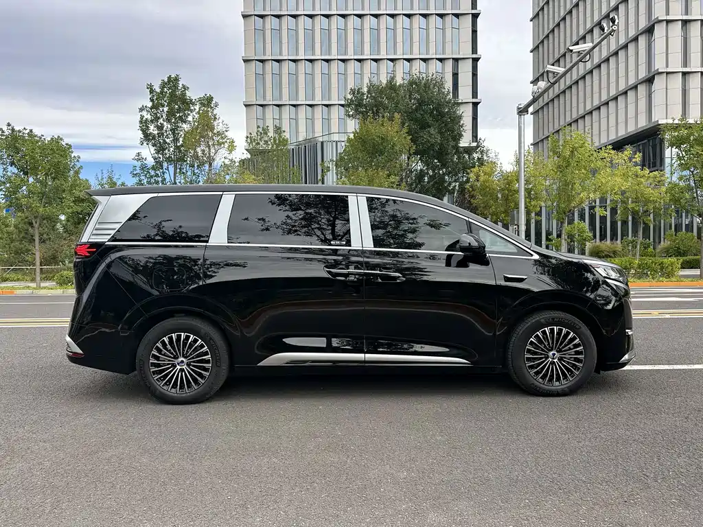 Denza Denza D9 — миниатюра 4