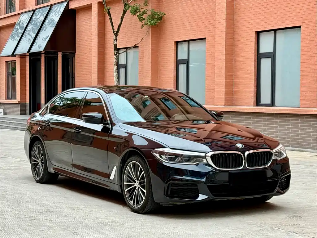BMW 5 Series 5 2020 530Li Premium M Sport
