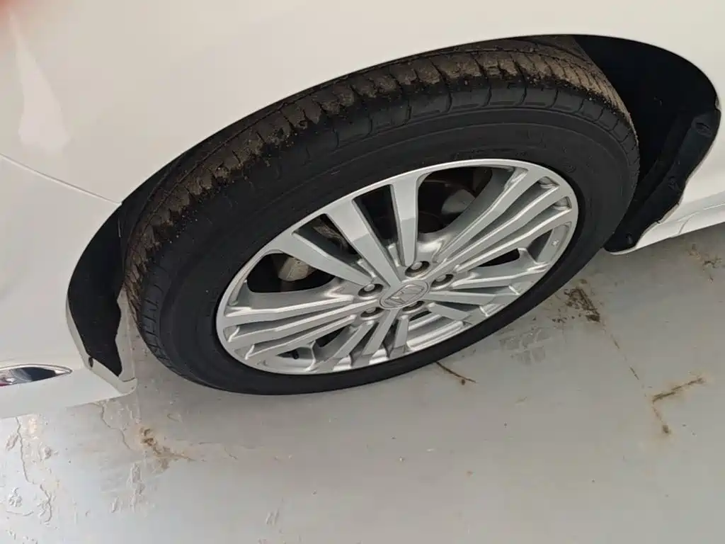 Honda Elysion — миниатюра 23