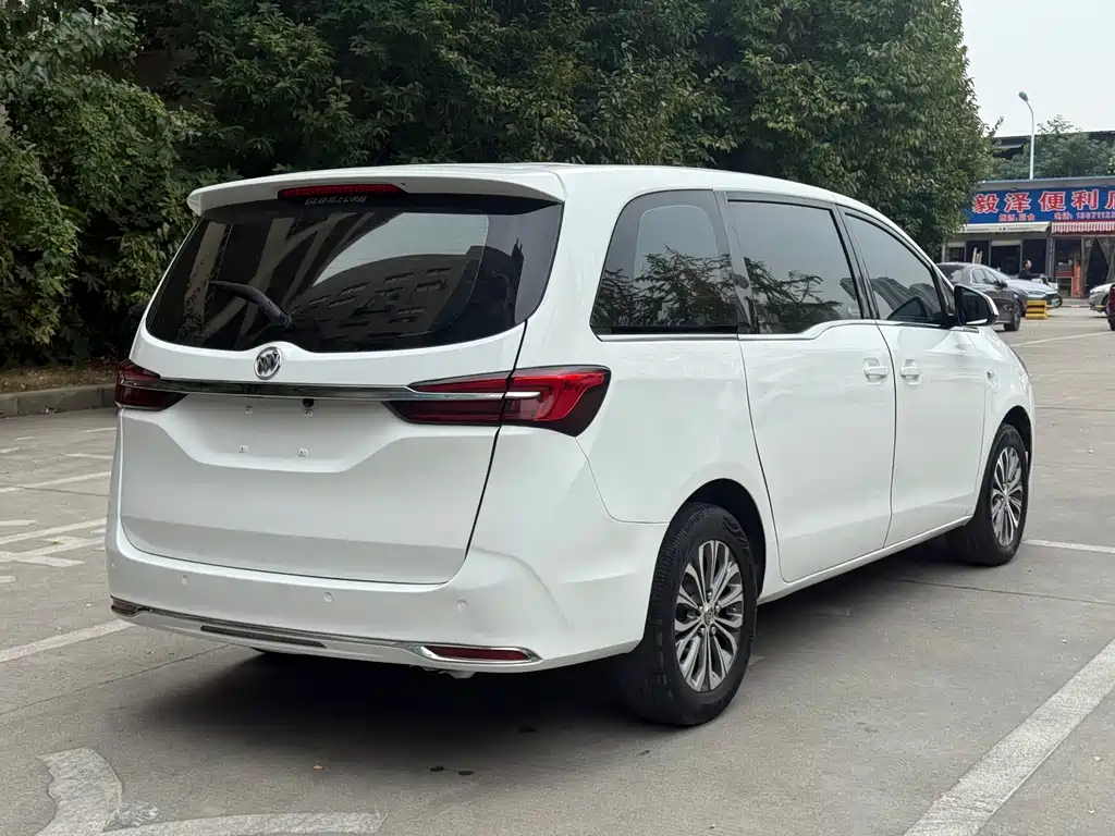 Buick GL8 — миниатюра 13