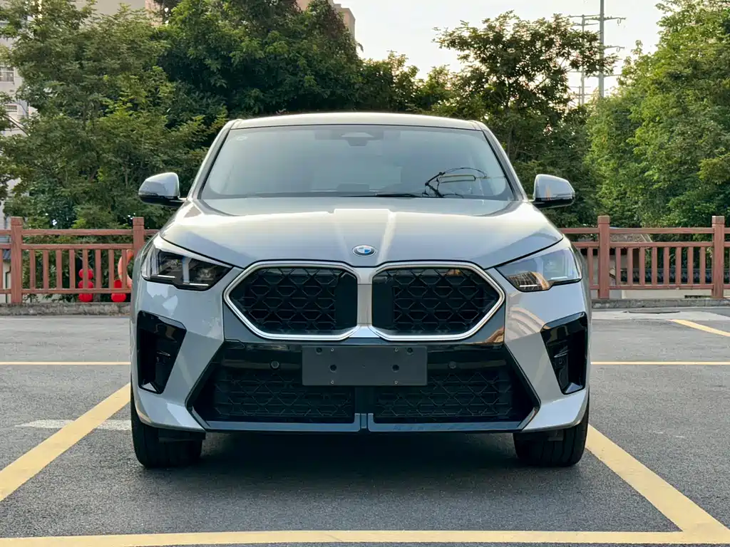BMW X2 (Import) — миниатюра 2