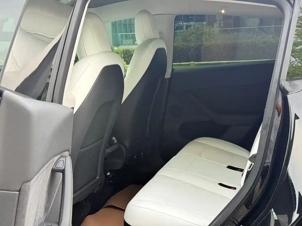 Tesla Model Y — миниатюра 19