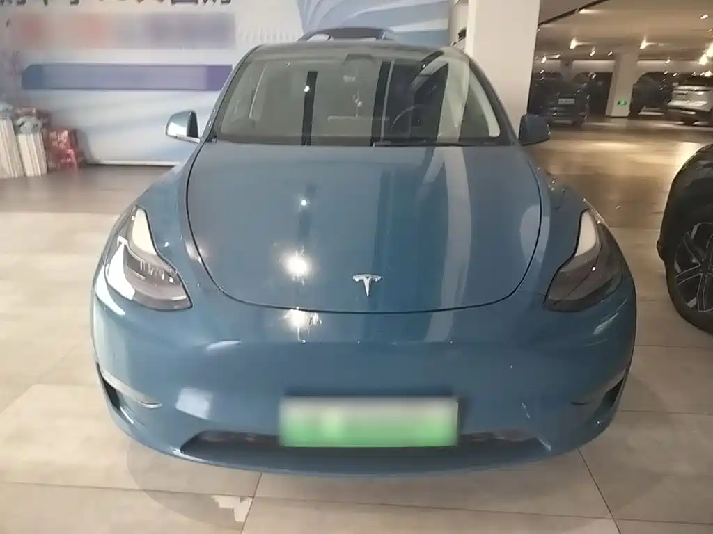 Tesla Model Y — миниатюра 3