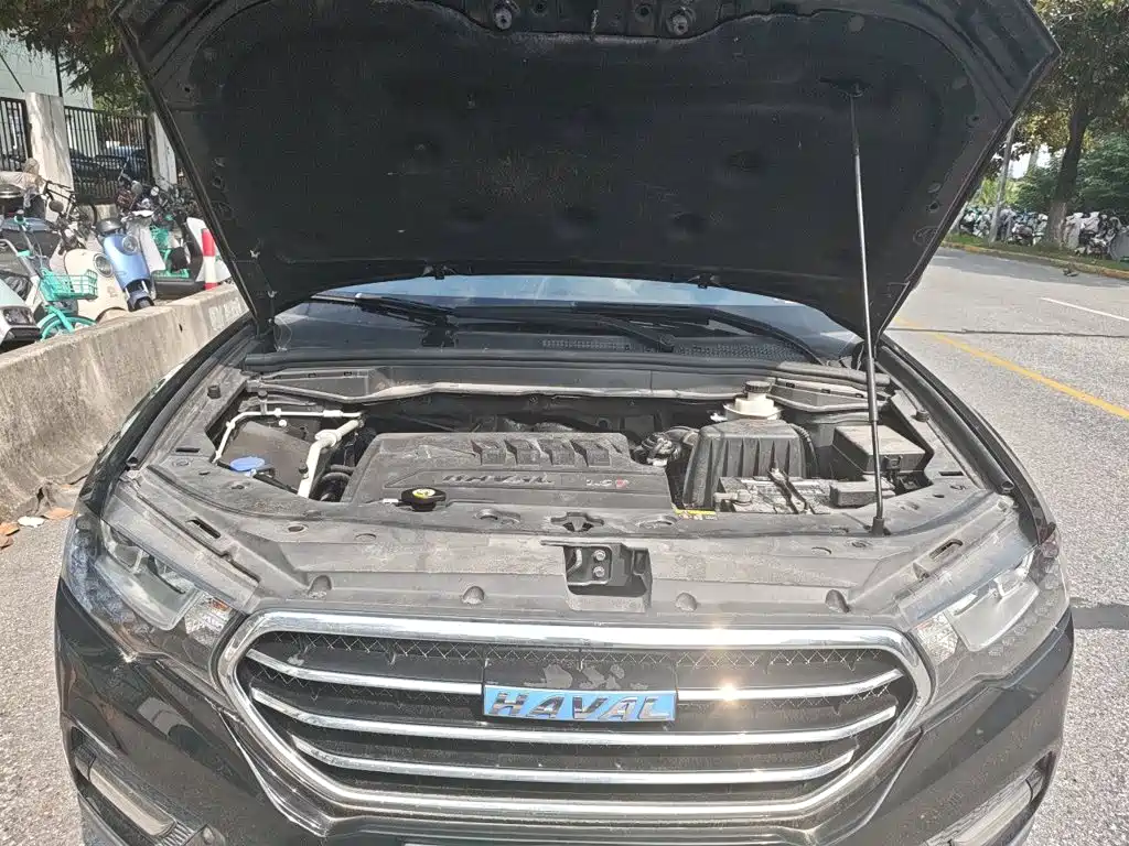 Haval H6 Coupe — миниатюра 16