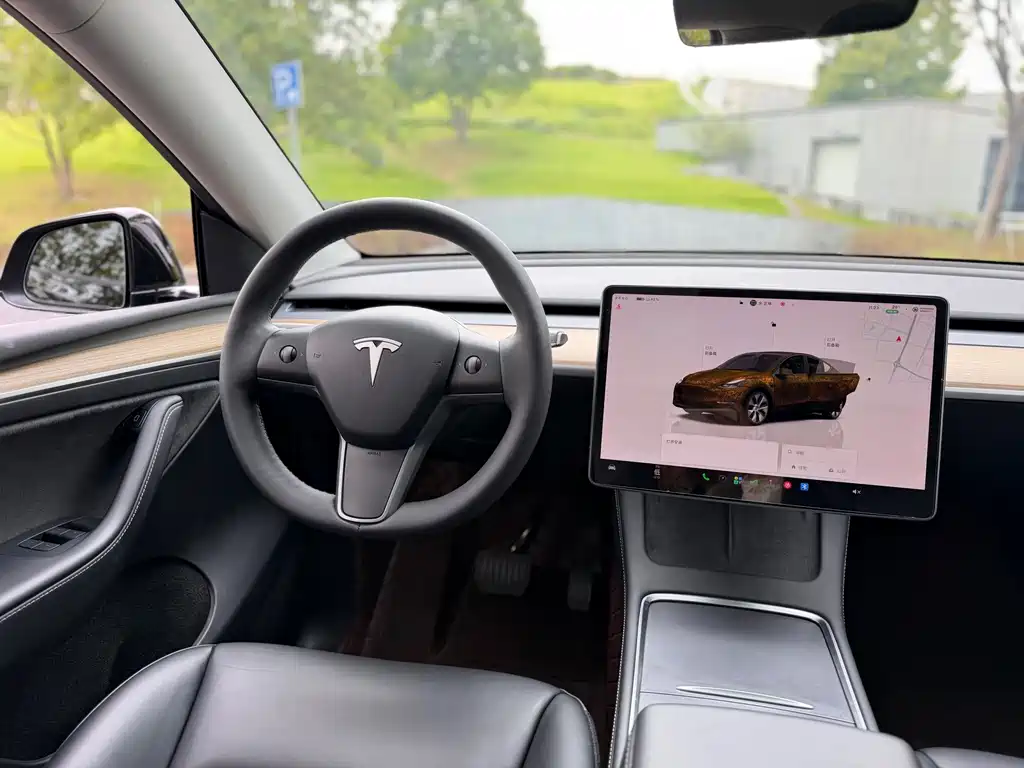 Tesla Model Y — миниатюра 17