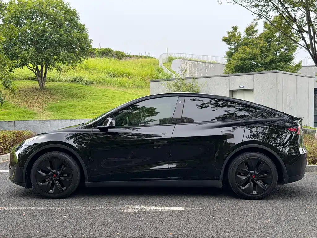 Tesla Model Y — миниатюра 4