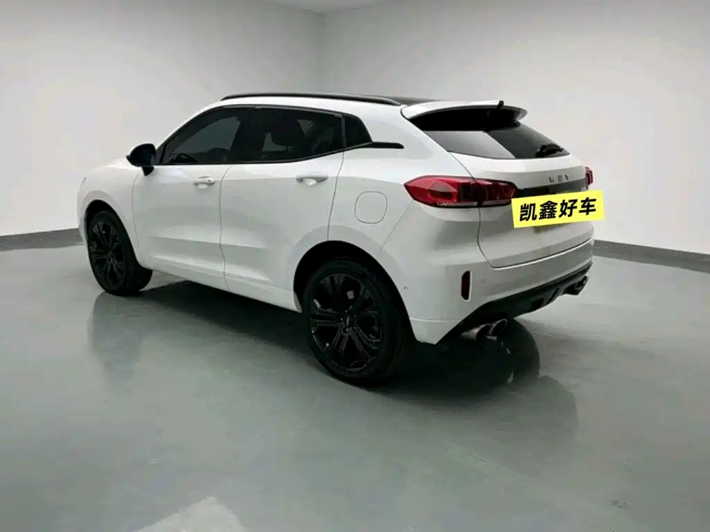 WEI PAI WEI BRAND VV5