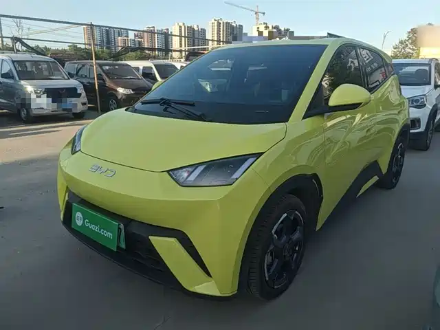2024 BYD Seagull