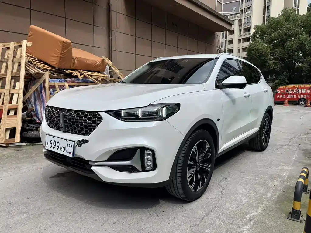 Купить Wey Wey VV6