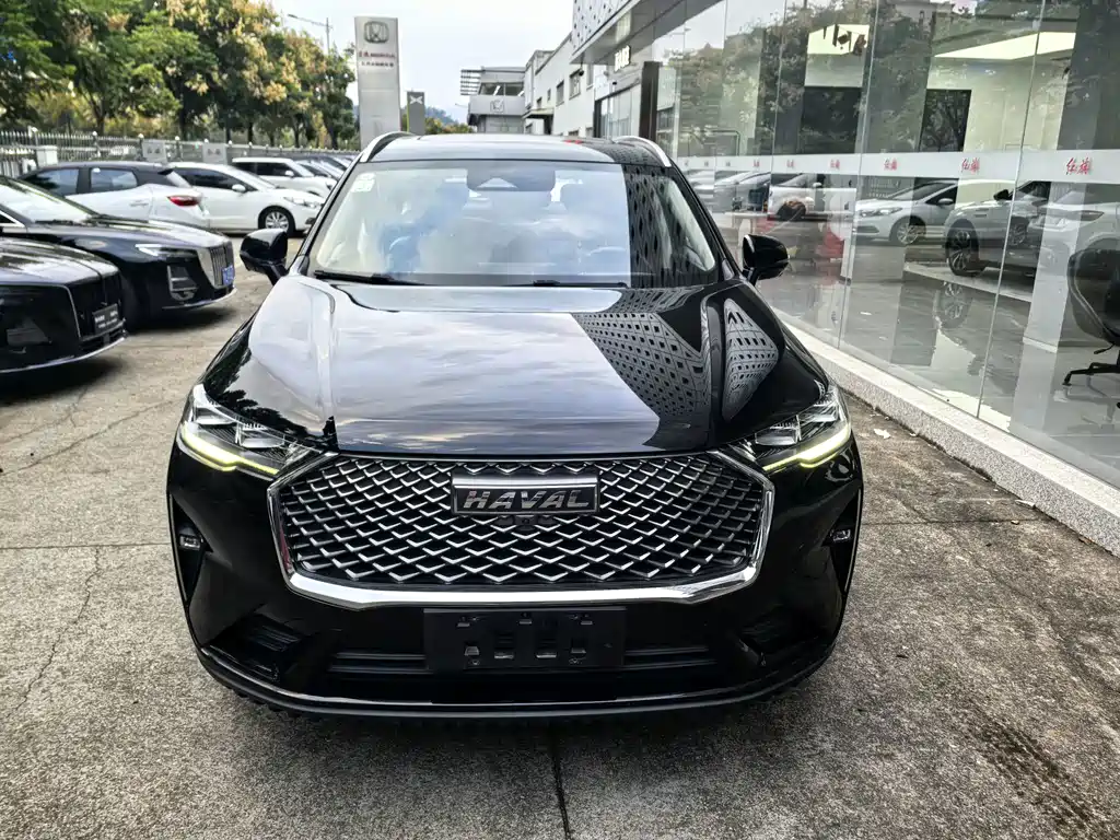Haval H6 — миниатюра 2