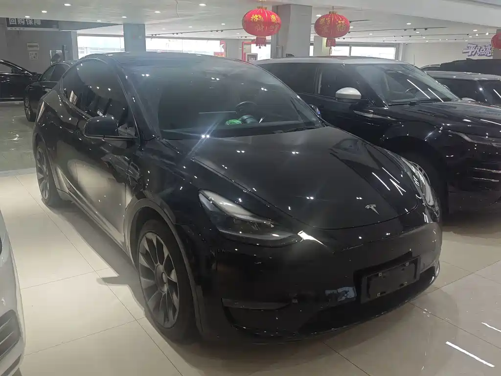 Tesla Model Y — миниатюра 4
