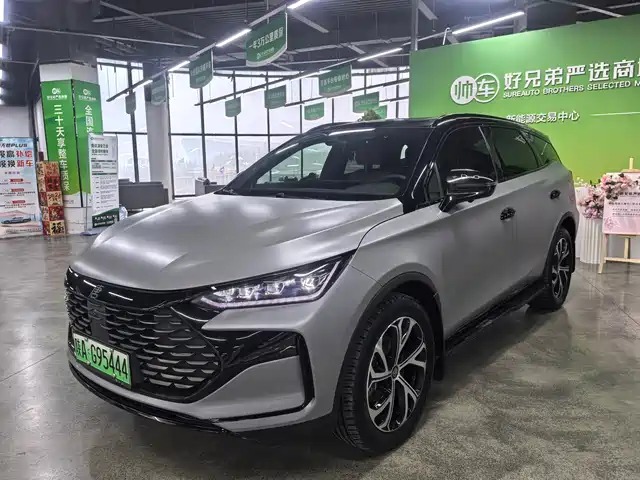 BYD TANGXIN ENERGY 2024