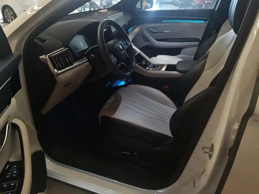 BYD PLUS New Energy — миниатюра 9