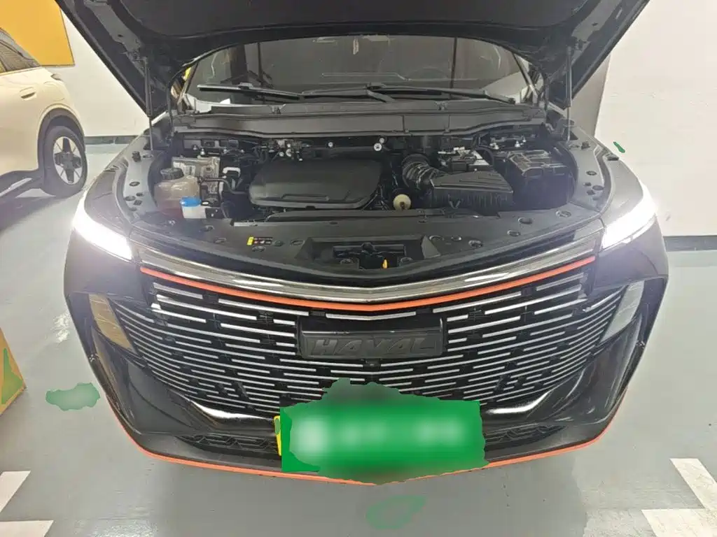 Haval Shenshou — миниатюра 20