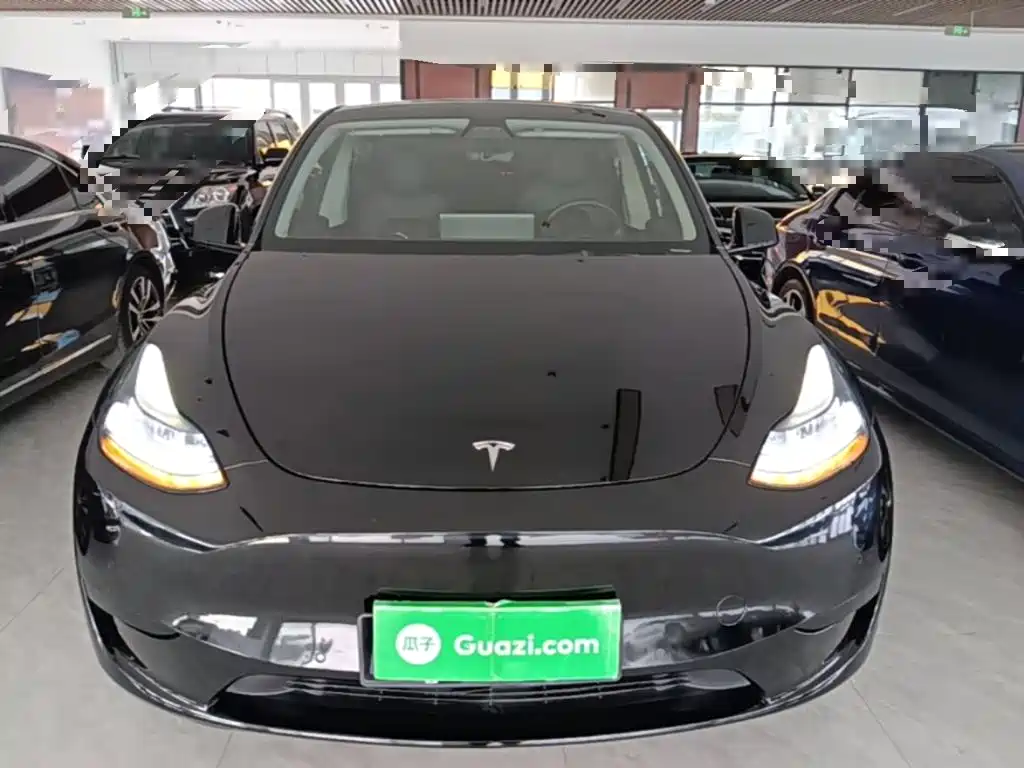 Tesla Model Y — миниатюра 3