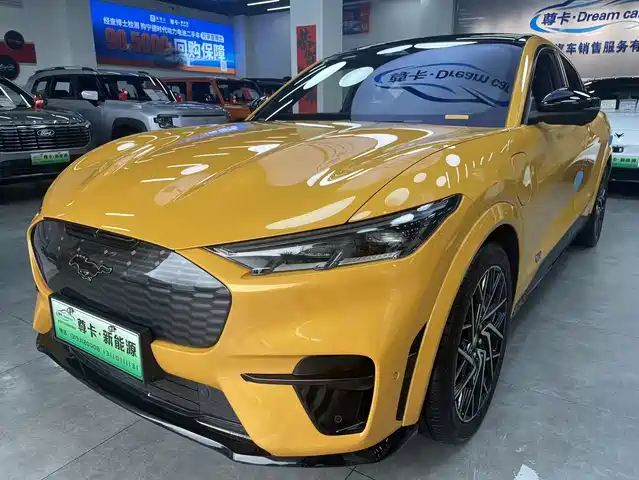 FORD ELECTRIC HORSE 2024