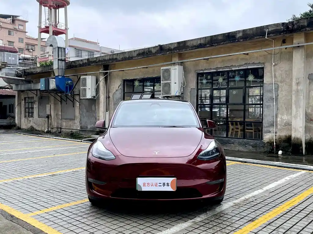 Tesla Model Y — миниатюра 2