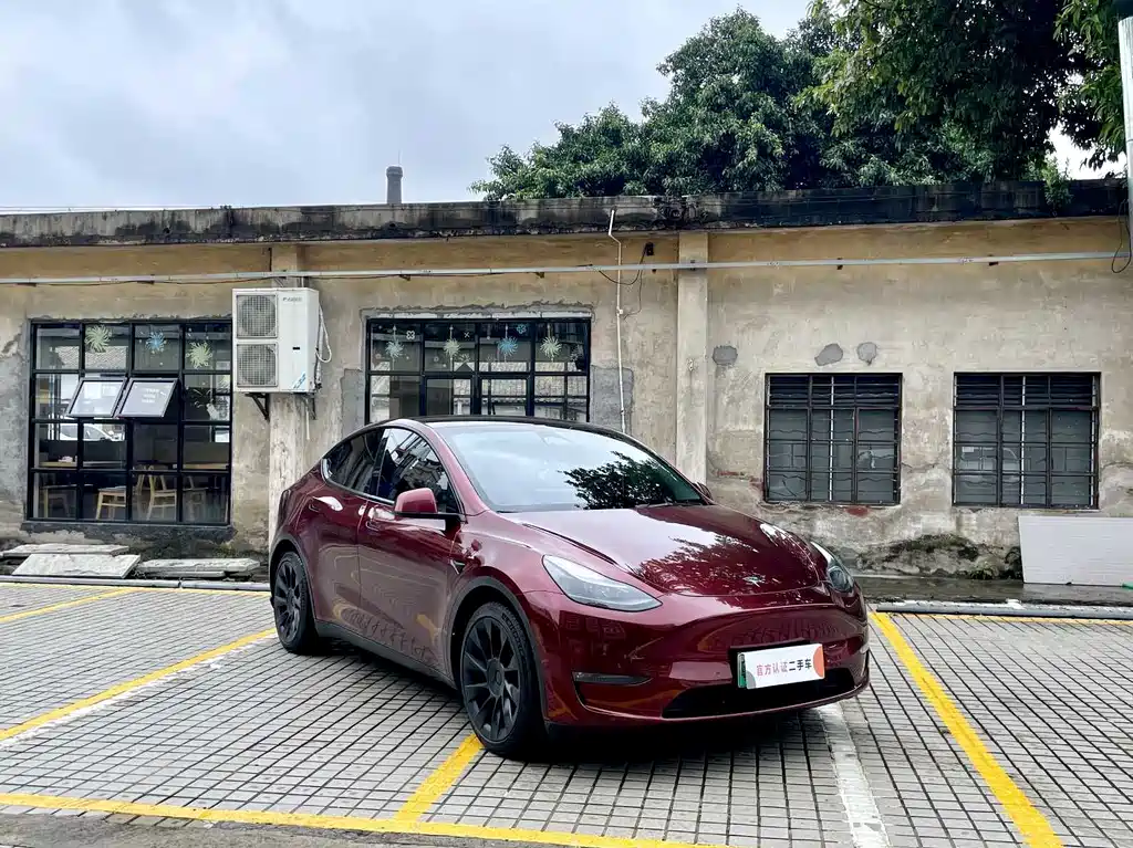 Tesla Model Y — миниатюра 3