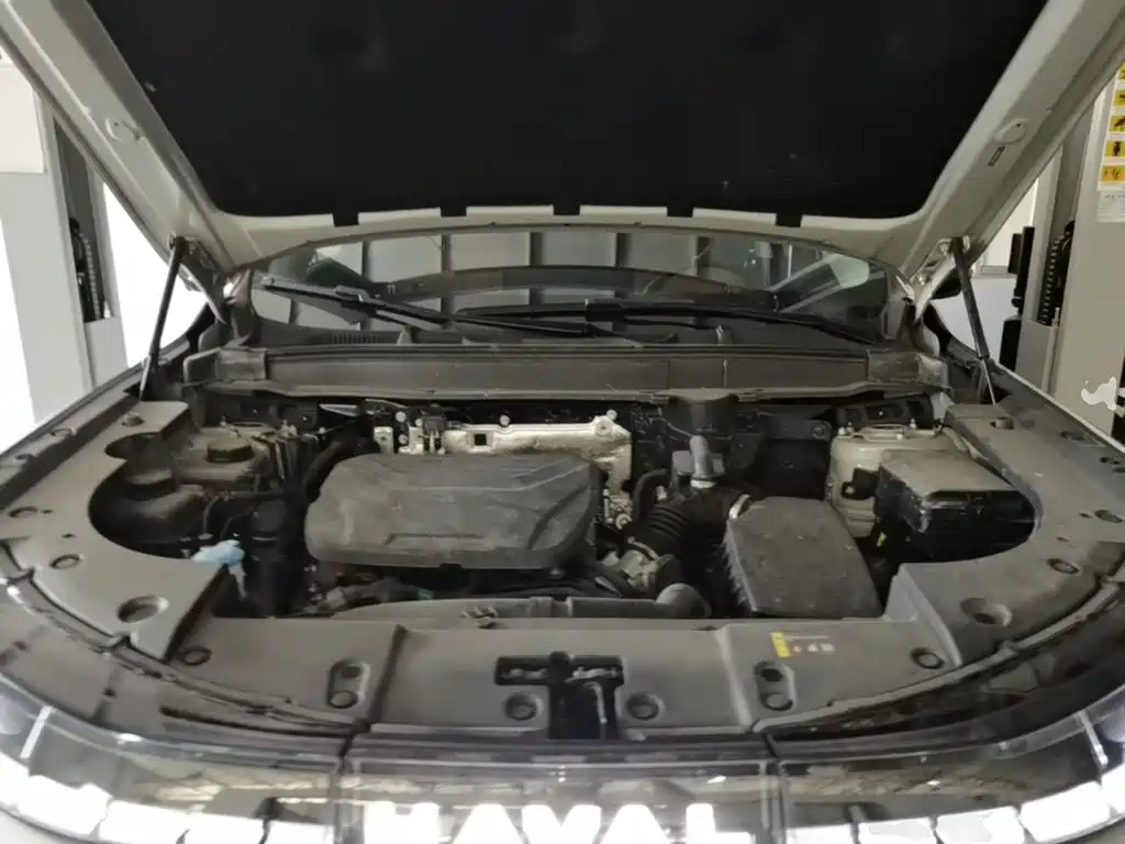 Haval Xiaolong MAX — миниатюра 25