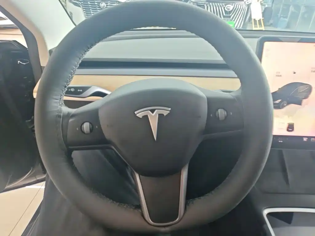 Tesla Model 3 — миниатюра 11