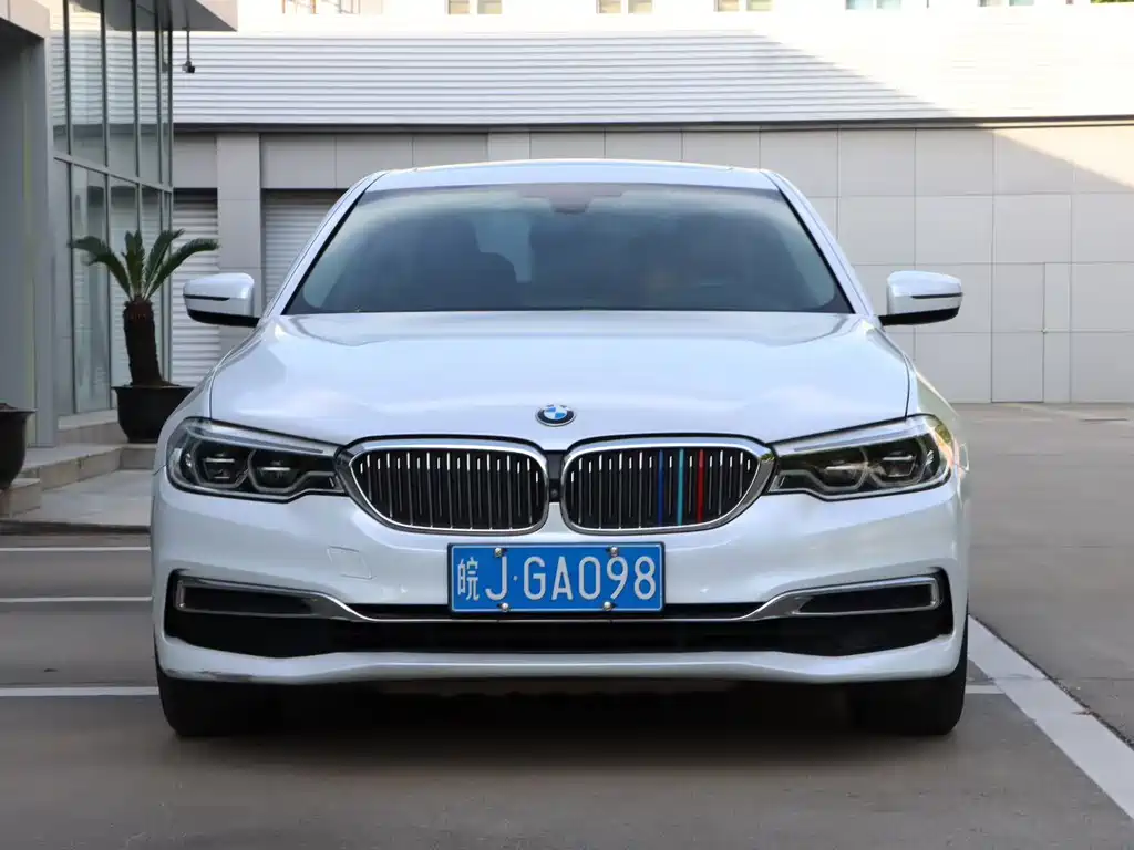 BMW 5 Series 5 2019 530Li Premium Luxury