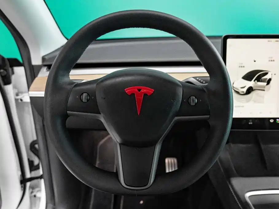 Tesla Model Y — миниатюра 12