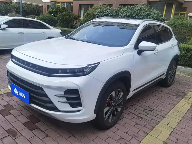 ASTRAL PATH STAR WAY CHASING THE WIND 2025