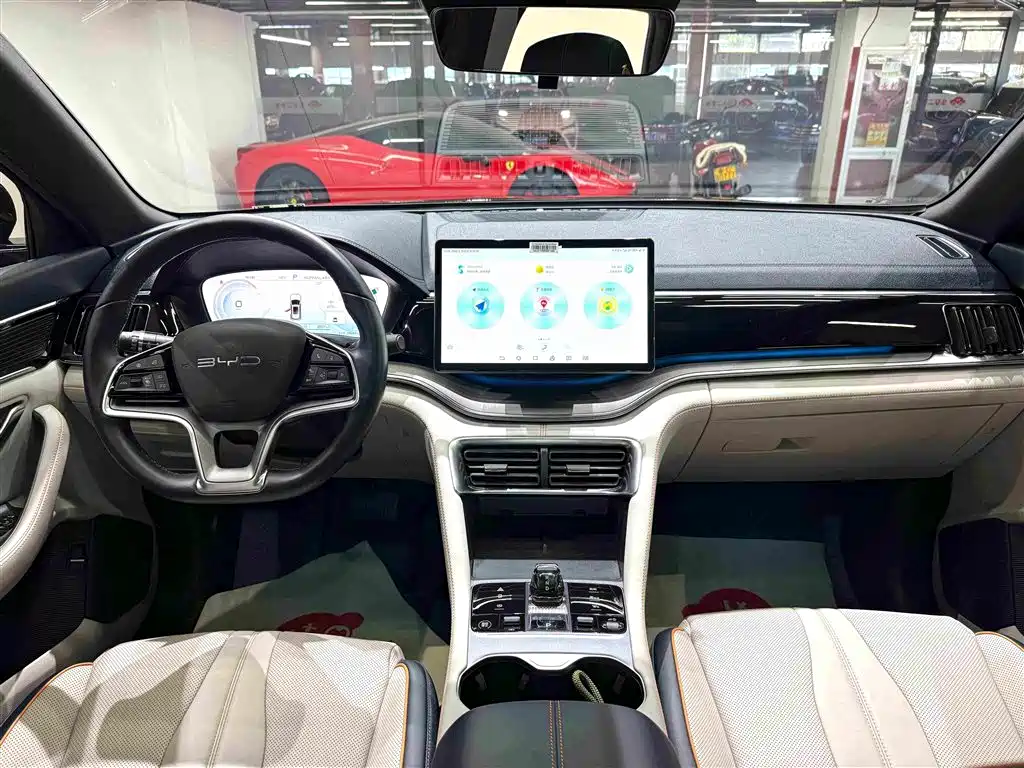 BYD PLUS New Energy — миниатюра 19