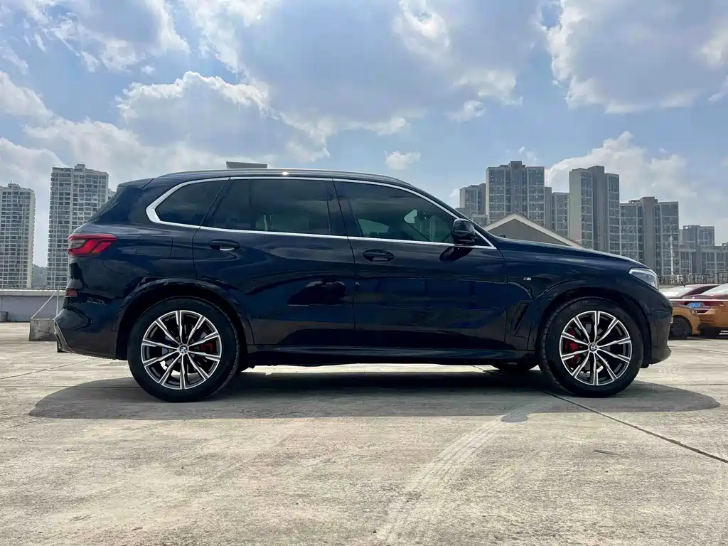 BMW X5 (Import) — миниатюра 12