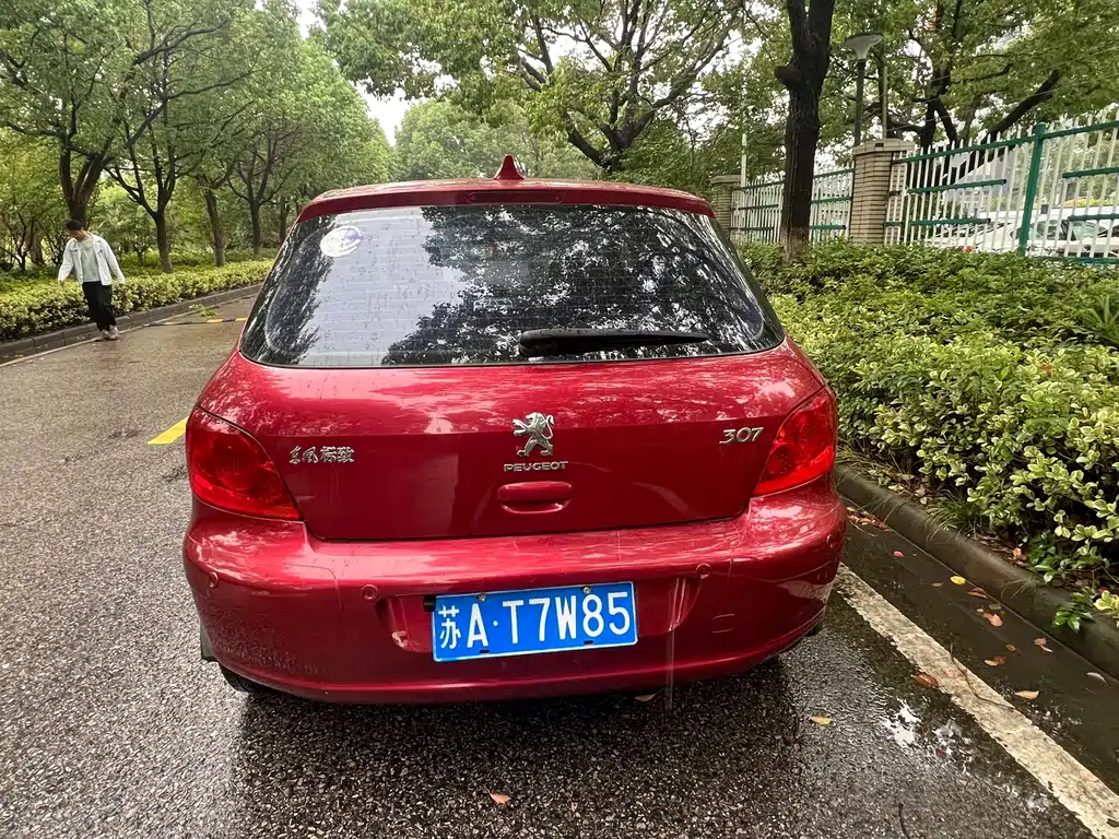 Peugeot 307 — миниатюра 4