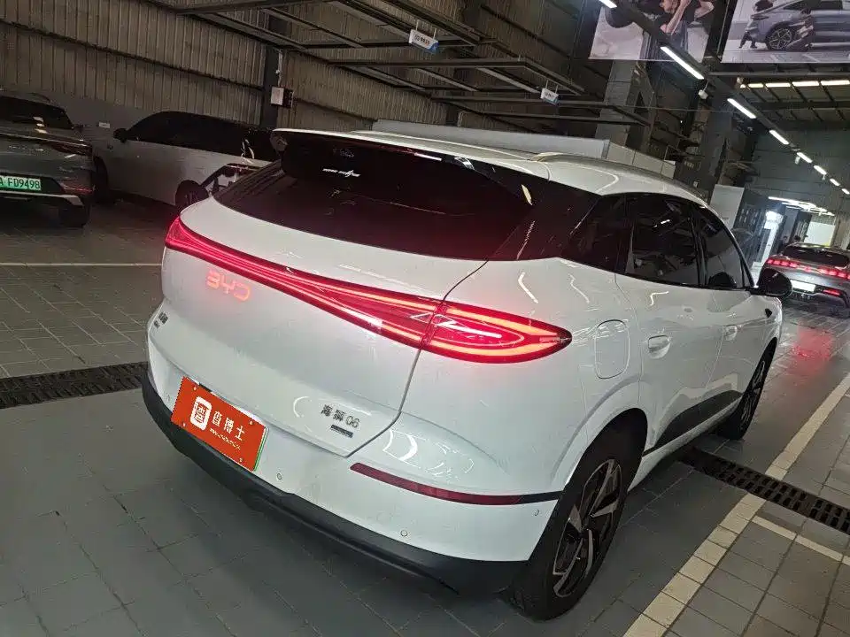 BYD Sealion 06 — миниатюра 4