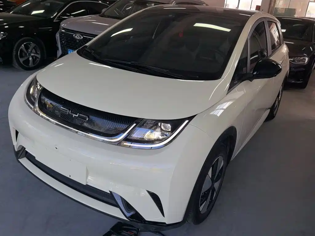 Byd Dolphin 2023