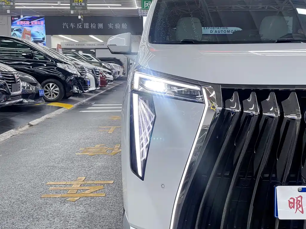 GAC Motor Trumpchi M8 — миниатюра 6