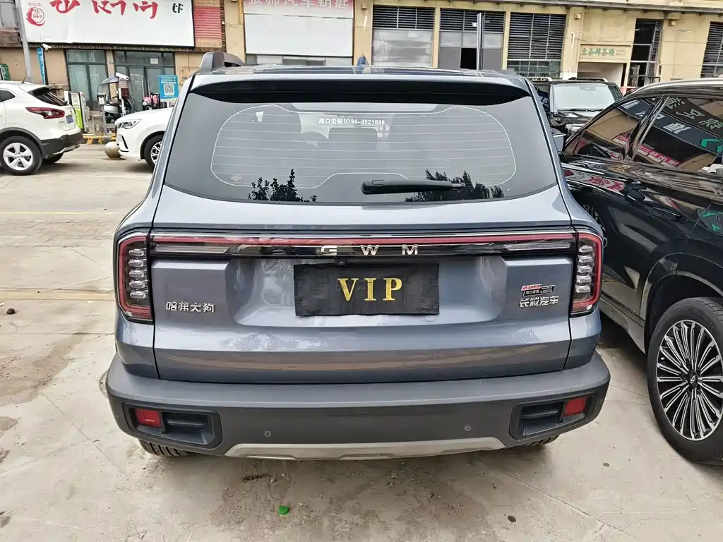 Haval 长城大狗 — миниатюра 15