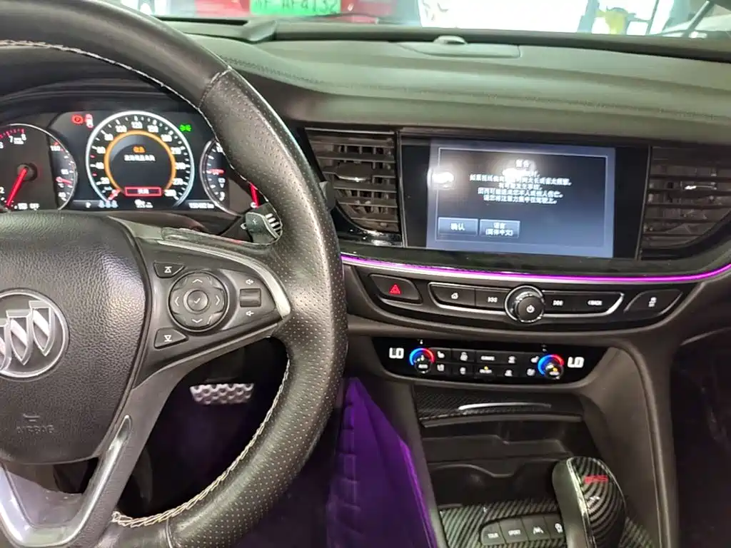 Buick Regal — миниатюра 13