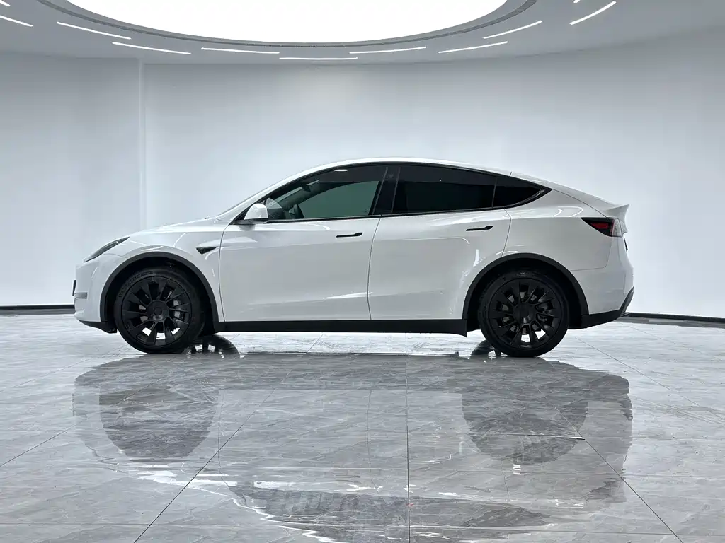 Tesla Model Y — миниатюра 5