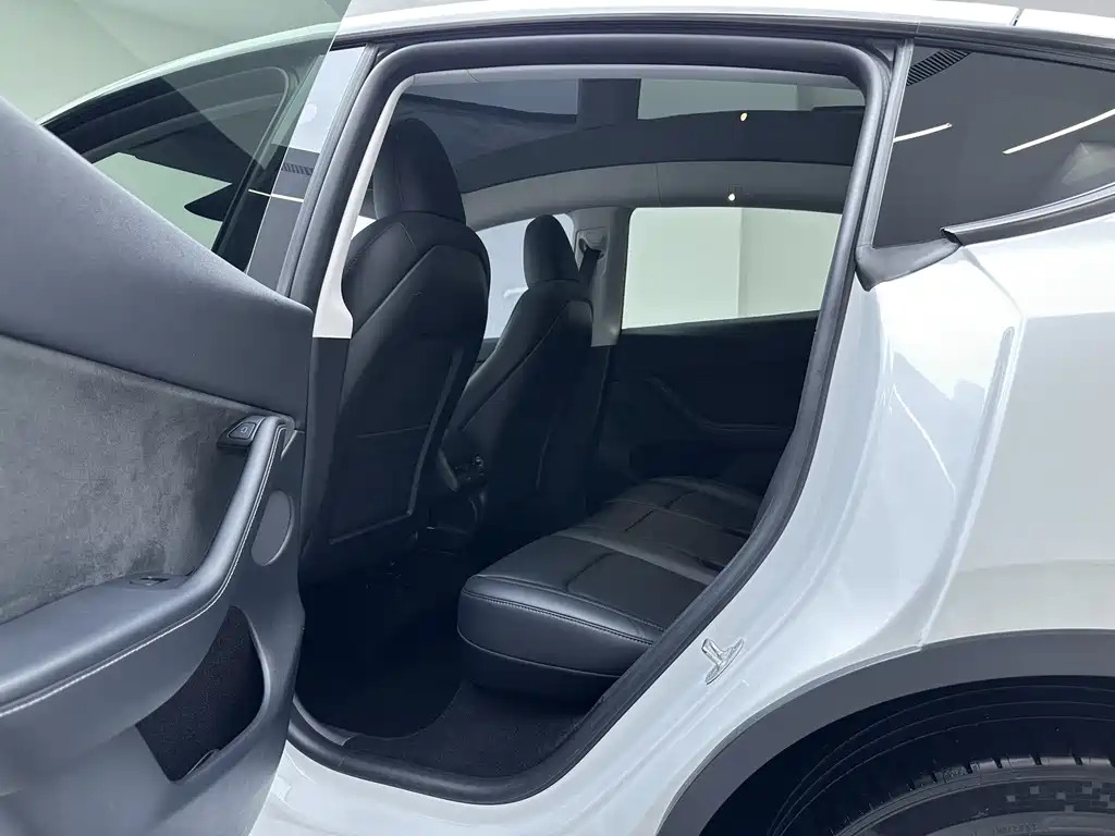 Tesla Model Y — миниатюра 16