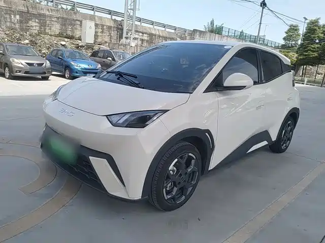 2025 BYD Seagull