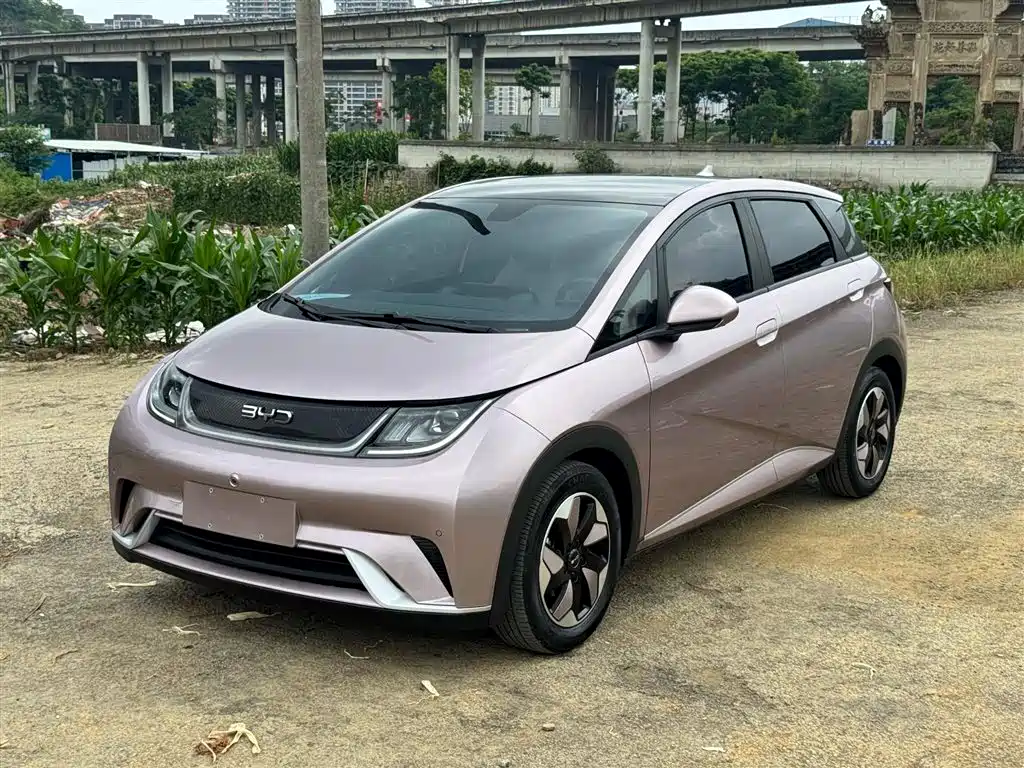 BYD Dolphin 2024 Glory Edition 420km Fashion Edition