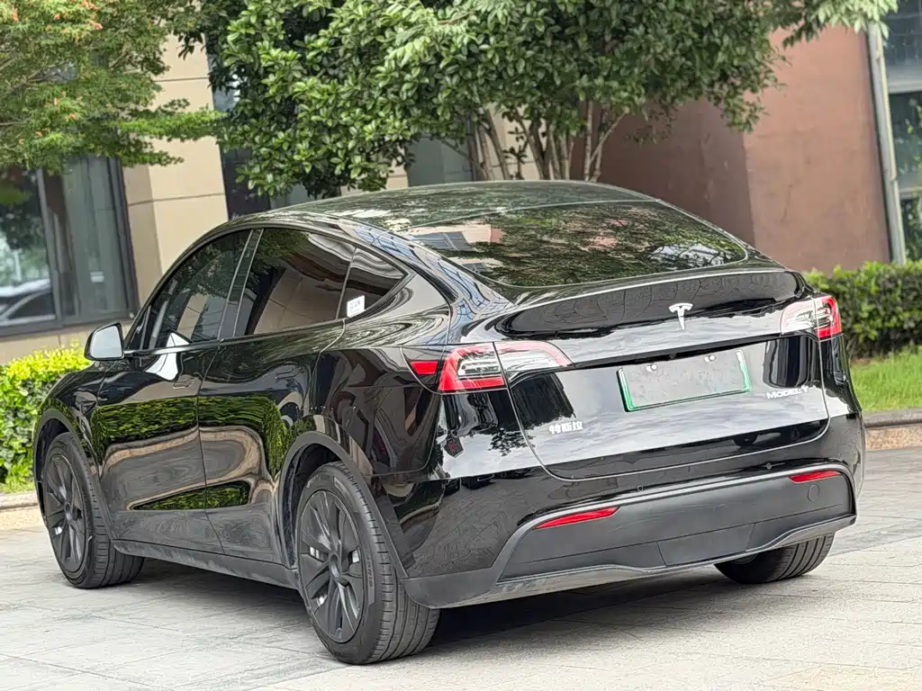 Tesla Model Y — миниатюра 10