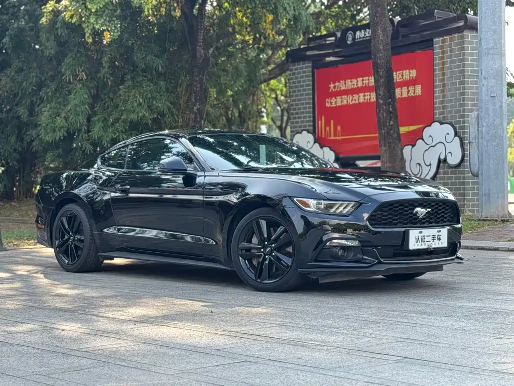 Ford Mustang — миниатюра 3