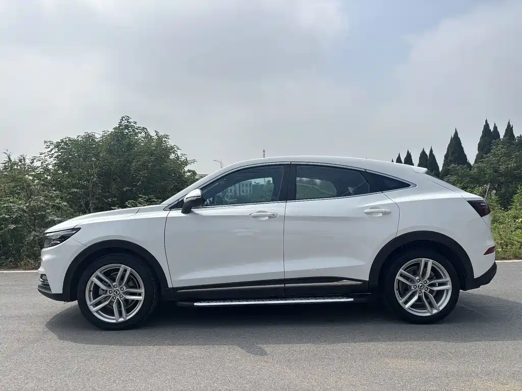 Fengguang Fengguang ix5 — миниатюра 4