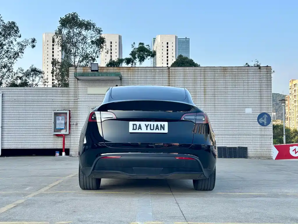Tesla Model Y — миниатюра 8