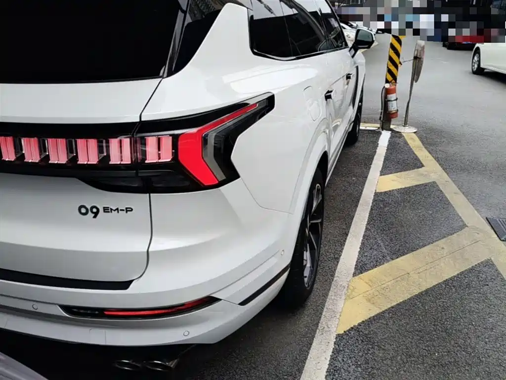 Lynk & Co 09 EM-P 2021 2.0T PHEV Halo мест