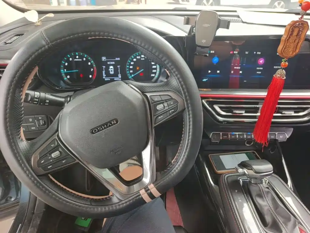 Oshan Oushang X5 — миниатюра 10