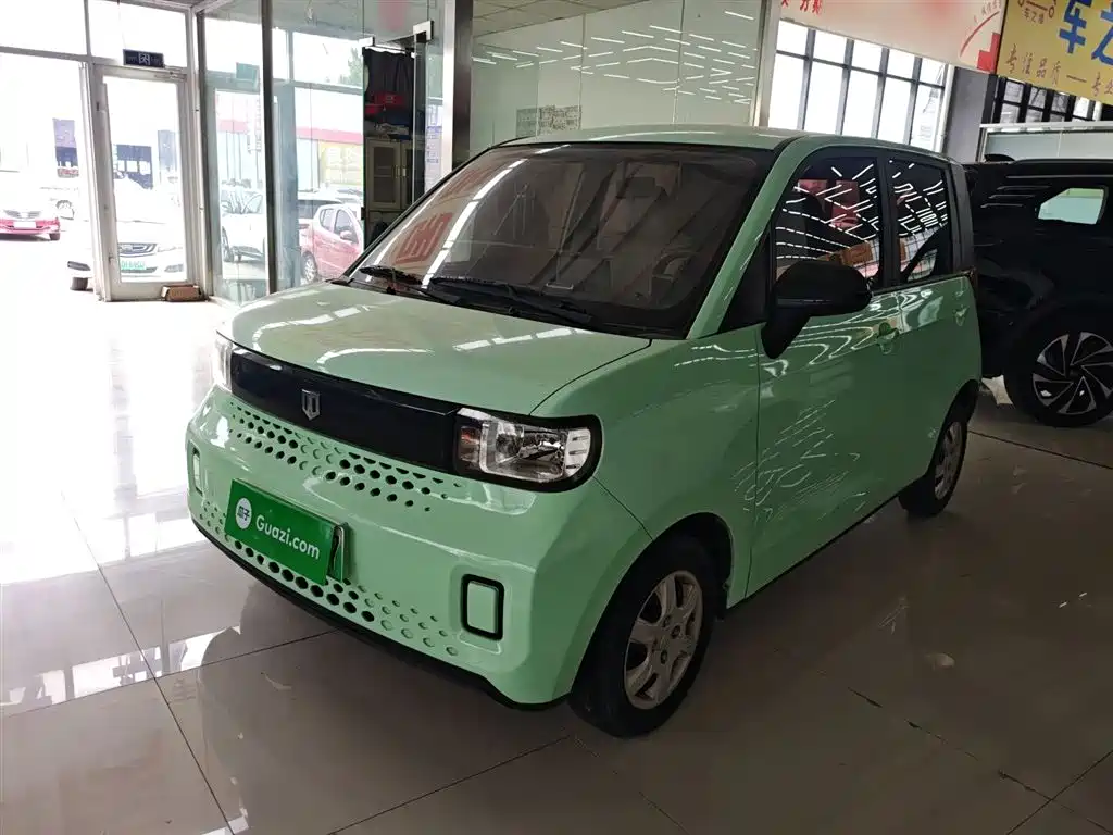 Bai Zhi Baizhi Big Bear 2022